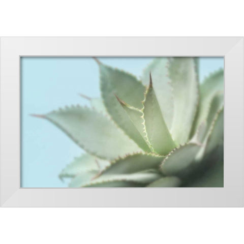 Soft Focus Succulent 4 White Modern Wood Framed Art Print by Greenwood, Julie