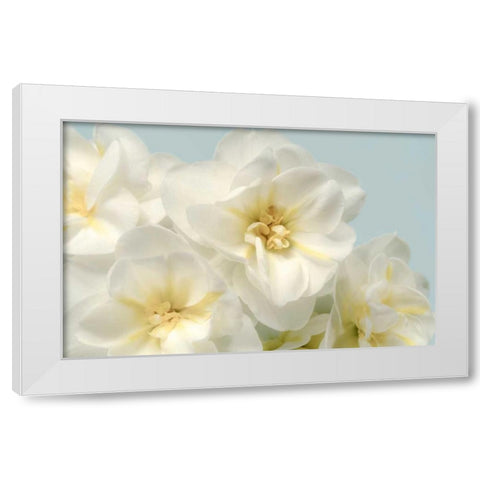 Winter Whites White Modern Wood Framed Art Print by Greenwood, Julie