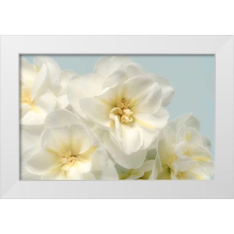 Winter Whites White Modern Wood Framed Art Print by Greenwood, Julie