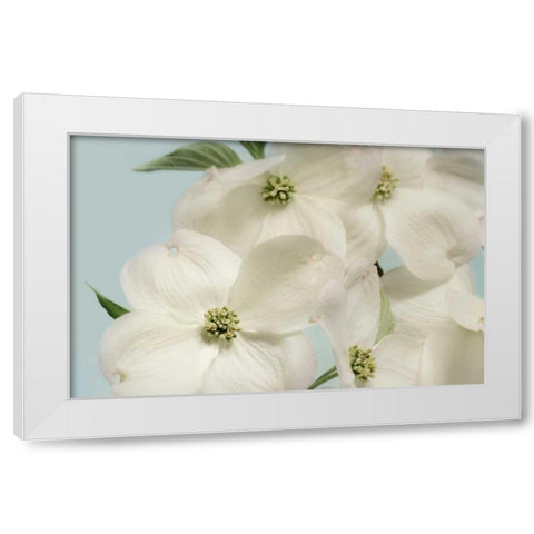 Spring Whites White Modern Wood Framed Art Print by Greenwood, Julie