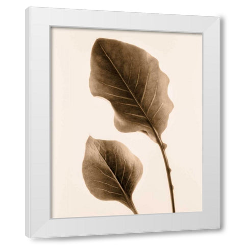 Philodendron Leaf White Modern Wood Framed Art Print by Greenwood, Julie