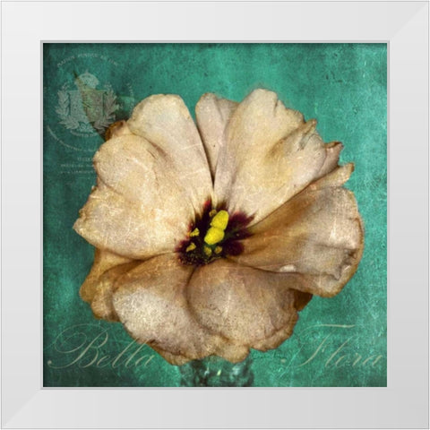 Bella Flora White Modern Wood Framed Art Print by Atria, Cristin