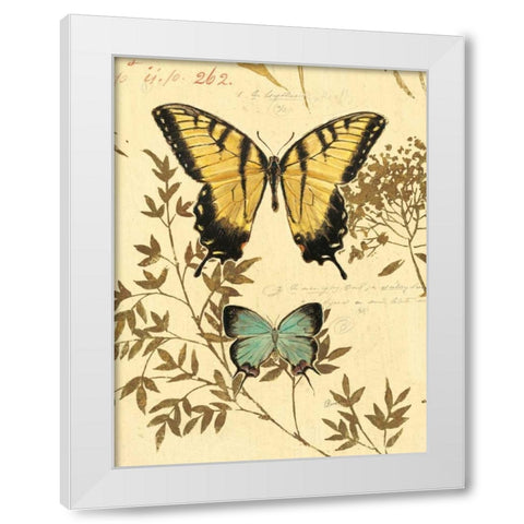 Natures Curiosities 6 White Modern Wood Framed Art Print by Barrett, Chad