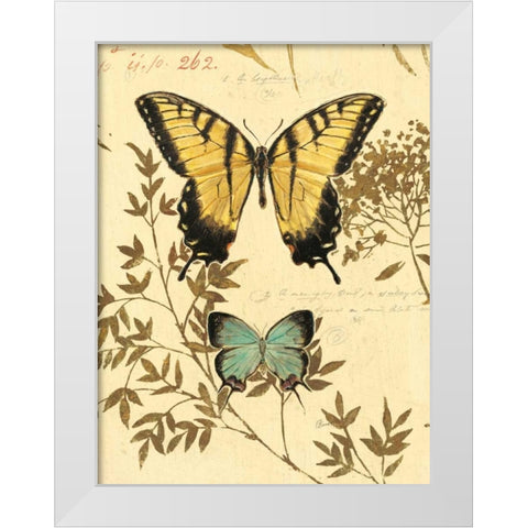 Natures Curiosities 6 White Modern Wood Framed Art Print by Barrett, Chad