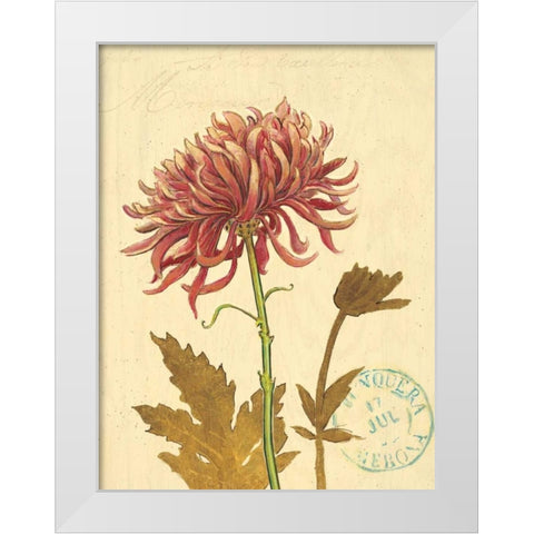 Natures Curiosities 5 White Modern Wood Framed Art Print by Barrett, Chad