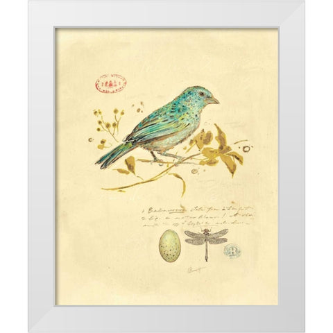 Gilded Songbird 1  White Modern Wood Framed Art Print by Barrett, Chad
