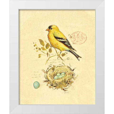 Gilded Songbird 2 White Modern Wood Framed Art Print by Barrett, Chad