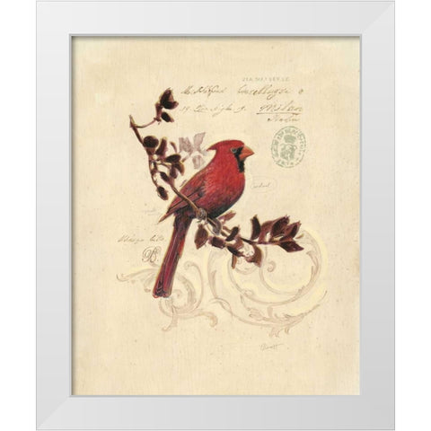 Filigree Cardinal White Modern Wood Framed Art Print by Barrett, Chad
