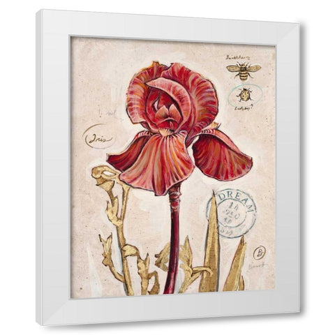 Ruby Collection 2 White Modern Wood Framed Art Print by Barrett, Chad