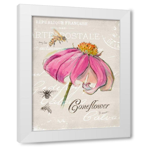 Sketchbook Coneflower  White Modern Wood Framed Art Print by Barrett, Chad