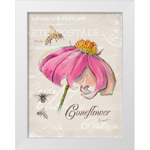 Sketchbook Coneflower  White Modern Wood Framed Art Print by Barrett, Chad