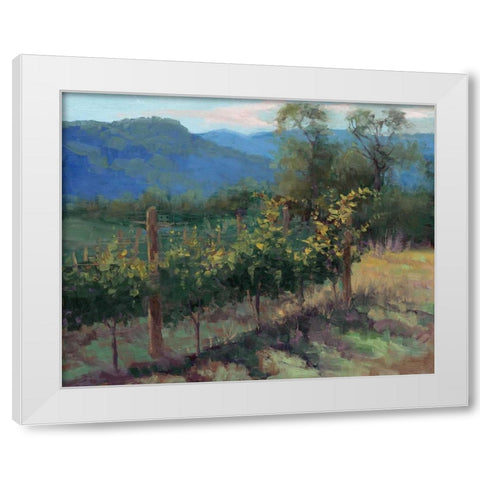 Vineyard On The Hill White Modern Wood Framed Art Print by McGannon, Jill Schultz