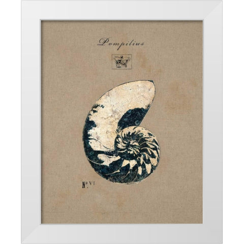 Vintage Linen Nautilus White Modern Wood Framed Art Print by Regina Andrew Design