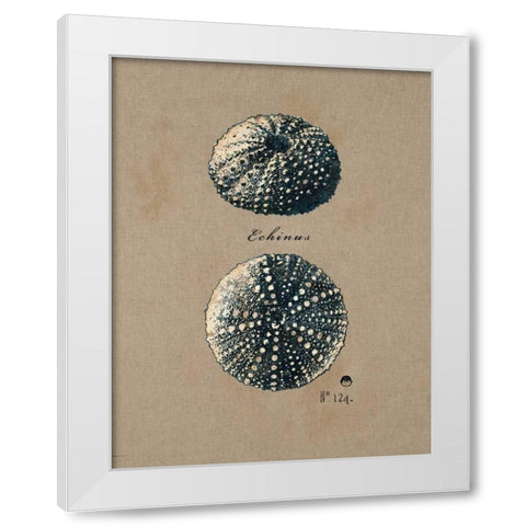Vintage Linen Sea Urchin White Modern Wood Framed Art Print by Regina Andrew Design
