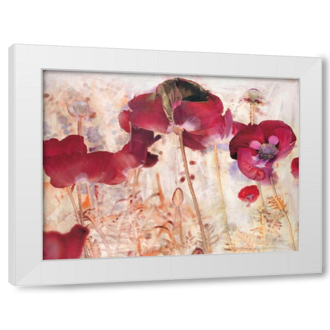 Dreamtime Poppies  White Modern Wood Framed Art Print by Theodosiou, Matina