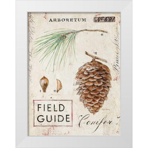 Natures Pinecone White Modern Wood Framed Art Print by Staehling, Angela