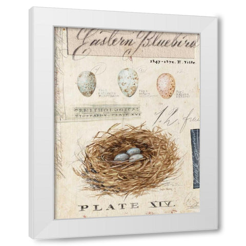 Natures Nest White Modern Wood Framed Art Print by Staehling, Angela