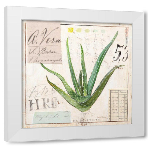 Aloe Vera-Sketchbook White Modern Wood Framed Art Print by Staehling, Angela