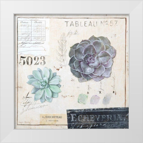 Echeveria-Sketchbook White Modern Wood Framed Art Print by Staehling, Angela