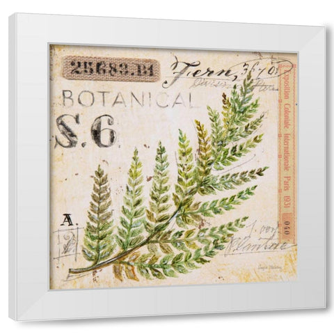Fern Leaf-Sketchbook White Modern Wood Framed Art Print by Staehling, Angela