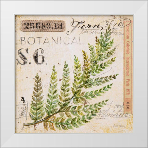 Fern Leaf-Sketchbook White Modern Wood Framed Art Print by Staehling, Angela