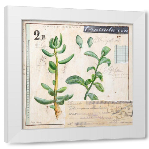 Jade-Sketchbook White Modern Wood Framed Art Print by Staehling, Angela