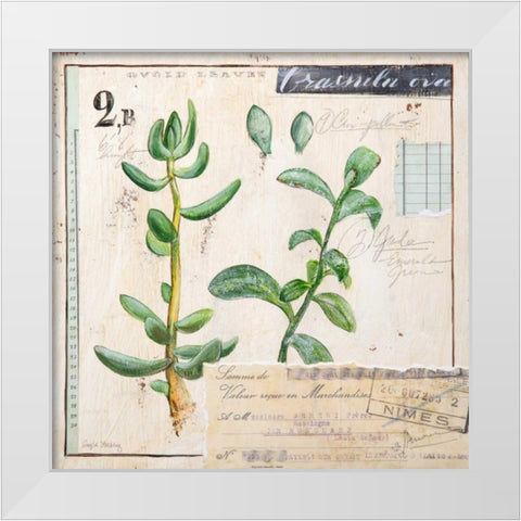 Jade-Sketchbook White Modern Wood Framed Art Print by Staehling, Angela