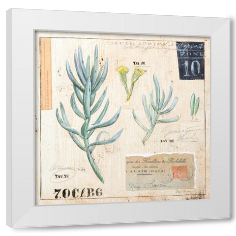 Senecio-Sketchbook White Modern Wood Framed Art Print by Staehling, Angela
