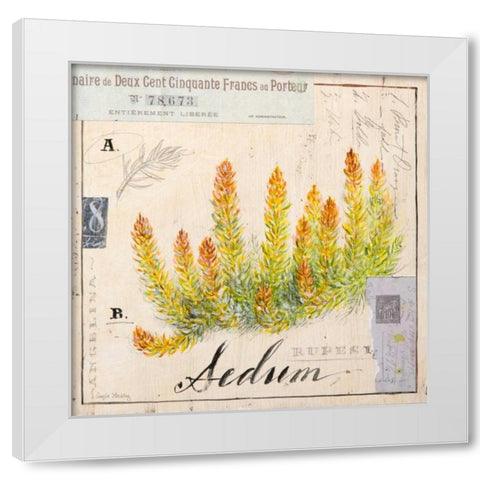 Sedium-Sketchbook White Modern Wood Framed Art Print by Staehling, Angela