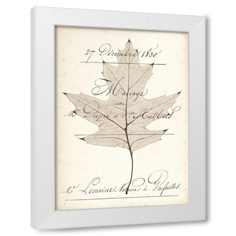 Birch Document White Modern Wood Framed Art Print by Morey, Booker