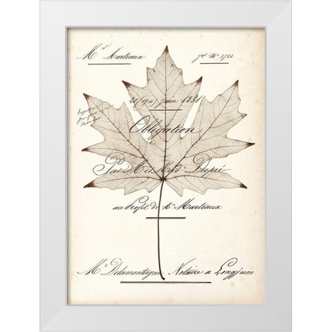 Maple Document White Modern Wood Framed Art Print by Morey, Booker