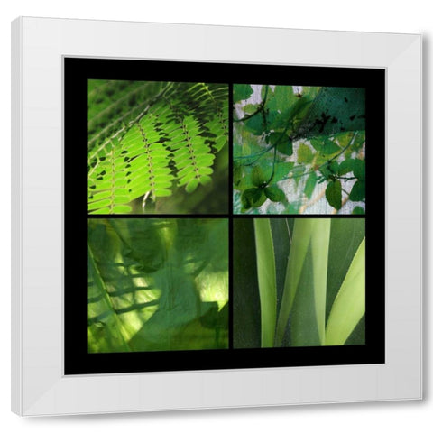 Fresh Green White Modern Wood Framed Art Print by Rauscher, Michel