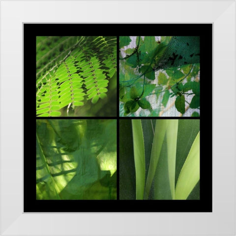 Fresh Green White Modern Wood Framed Art Print by Rauscher, Michel
