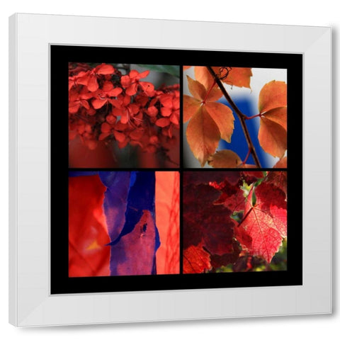 Red Autumn White Modern Wood Framed Art Print by Rauscher, Michel