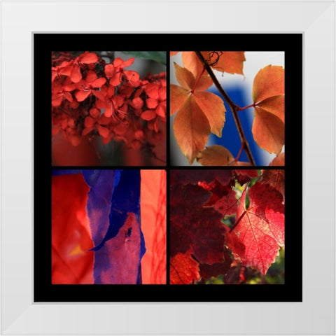 Red Autumn White Modern Wood Framed Art Print by Rauscher, Michel