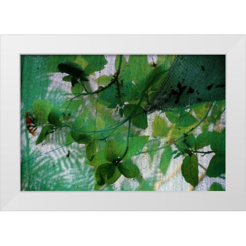 Fresh Green 2 White Modern Wood Framed Art Print by Rauscher, Michel
