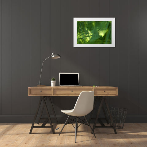 Fresh Green 3 White Modern Wood Framed Art Print by Rauscher, Michel