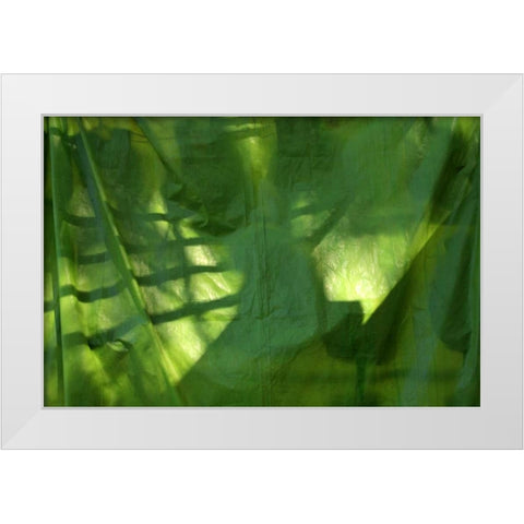 Fresh Green 3 White Modern Wood Framed Art Print by Rauscher, Michel