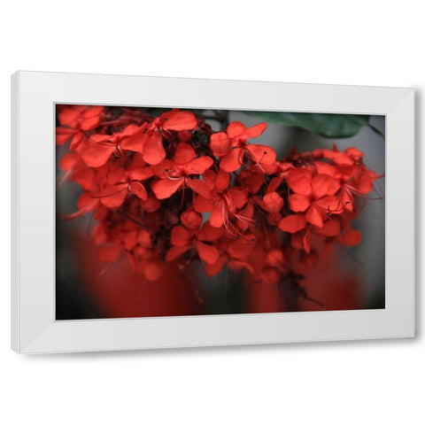 Red Autumn 1 White Modern Wood Framed Art Print by Rauscher, Michel