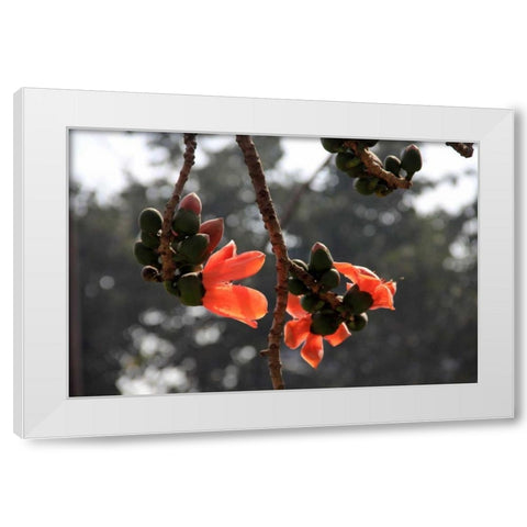 Global Vessel 1 White Modern Wood Framed Art Print by Rauscher, Michel
