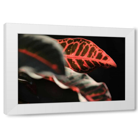 Global Vessel 4 White Modern Wood Framed Art Print by Rauscher, Michel