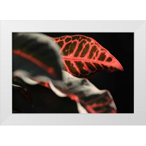 Global Vessel 4 White Modern Wood Framed Art Print by Rauscher, Michel