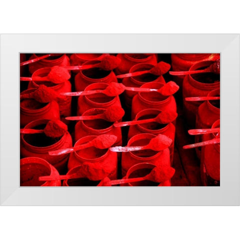 Global Spice 4 White Modern Wood Framed Art Print by Rauscher, Michel