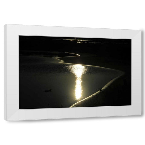 Moonlight Enchantment 2 White Modern Wood Framed Art Print by Rauscher, Michel