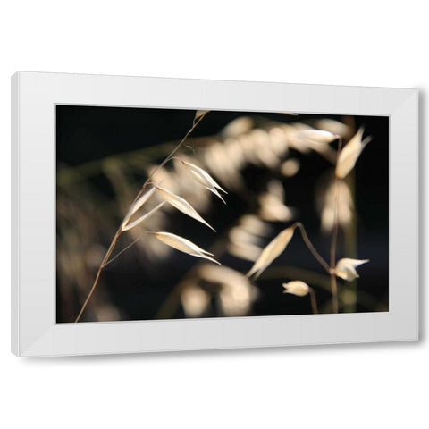 Moonlight Enchantment 3 White Modern Wood Framed Art Print by Rauscher, Michel