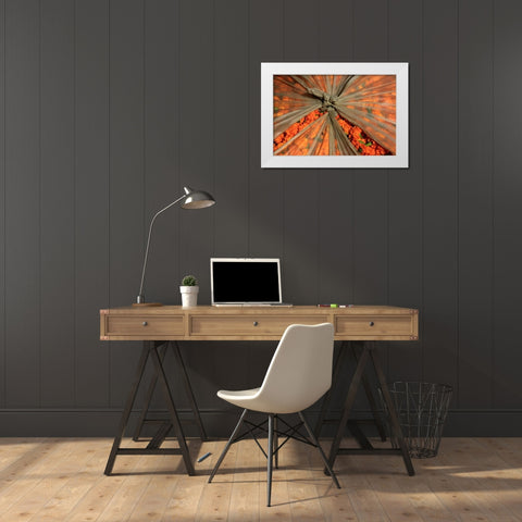 Global Orange 3 White Modern Wood Framed Art Print by Rauscher, Michel