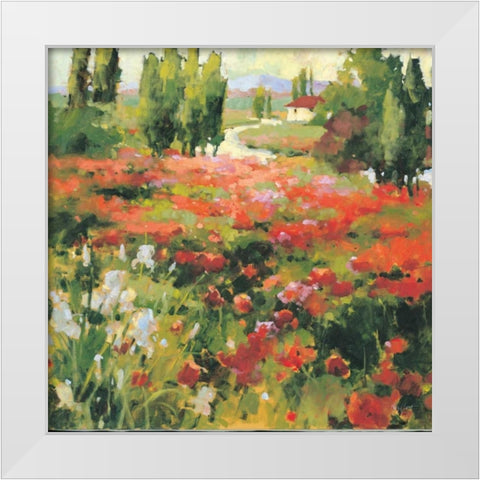 Summer Morning White Modern Wood Framed Art Print by Grant, Kay