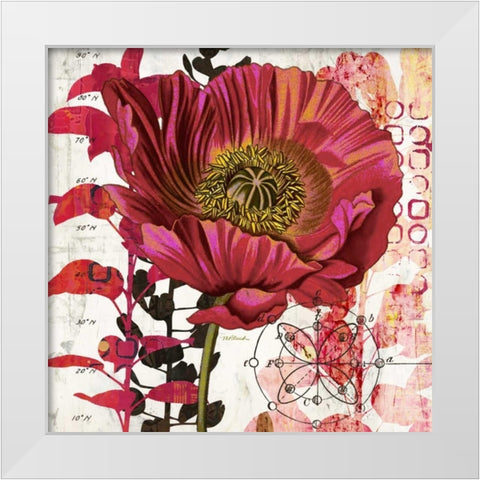 Red Poppy Story   White Modern Wood Framed Art Print by Pluch, Melissa