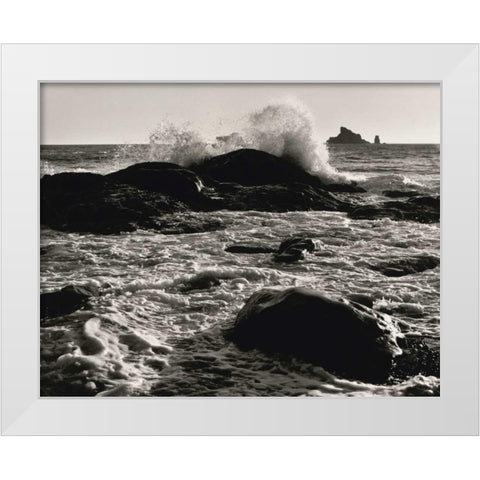 Roar of the Ocean White Modern Wood Framed Art Print by Aniballi, Brett