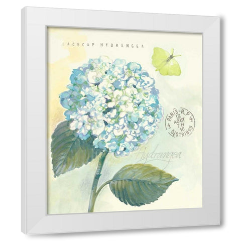Claires Garden Hydrangea White Modern Wood Framed Art Print by Della-Piana, Elissa